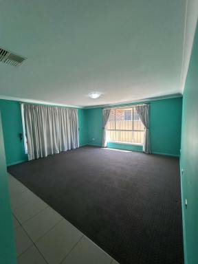 House For Lease - NSW - Oxley Vale - 2340 - Family Friendly Home Oxley Vale  (Image 2)