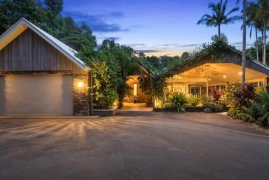 House For Sale - QLD - Cooroy Mountain - 4563 - Refined Hinterland Living on Private, Usable Acreage  (Image 2)