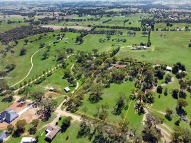 House For Sale - NSW - Young - 2594 - Warm, Inviting & Surrounded by Nature!  (Image 2)