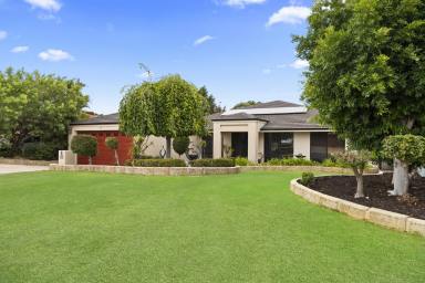 House For Sale - WA - Bibra Lake - 6163 - Stunning Entertainer with Huge Pool on 706sqm in Prestigious St Paul Estate  (Image 2)