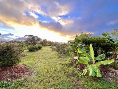 House For Sale - QLD - Millstream - 4888 - Modern Off-Grid Living that ticks all the boxes!  (Image 2)