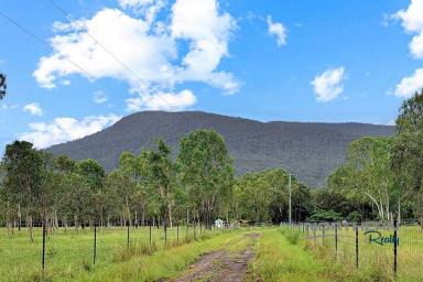 Acreage/Semi-rural For Sale - QLD - Majors Creek - 4816 - 182.63 Acres of Lifestyle, Space & Rural Opportunity (Image 2)