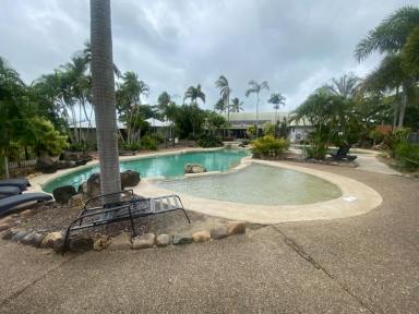 Retail For Lease - QLD - Bucasia - 4750 - NORTHERN BEACHES : SPACE FOR LEASE  (Image 2)