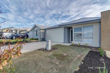 House For Sale - WA - Alkimos - 6038 - Beachside Beauty -  Shorehaven estate  (Image 2)