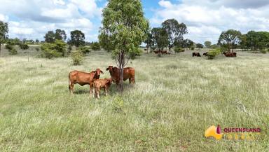 Other (Rural) For Sale - QLD - Seventy Mile - 4820 - Broughton Downs  (Image 2)