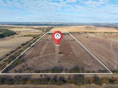 House For Sale - WA - Oldbury - 6121 - 22.57 Hectares of Rare Oldbury Acreage with Powered Sheds, Stables & Water Licence  (Image 2)