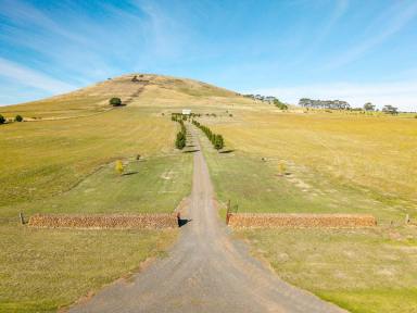 Lifestyle For Sale - VIC - Kingston - 3364 - Kingston Heights  (Image 2)