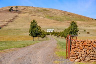 Lifestyle For Sale - VIC - Kingston - 3364 - Kingston Heights  (Image 2)