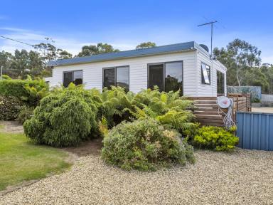 House For Sale - TAS - Saltwater River - 7186 - Coastal Charm meets Country Calm  (Image 2)