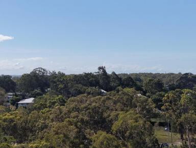 Residential Block For Sale - QLD - Macleay Island - 4184 - Big Block, Quiet Position & Water View Potential (Image 2)