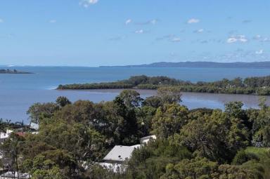 Residential Block For Sale - QLD - Macleay Island - 4184 - Big Block, Quiet Position & Water View Potential (Image 2)