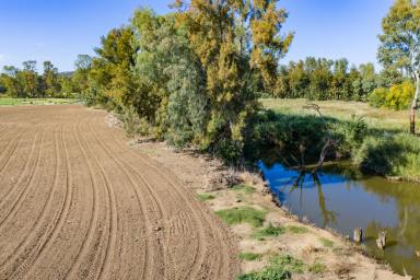 Other (Rural) For Sale - NSW - Canowindra - 2804 - 5.33 acres of self watering lucerne country, located in the heart of Canowindra!  (Image 2)