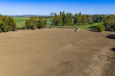 Other (Rural) For Sale - NSW - Canowindra - 2804 - 5.33 acres of self watering lucerne country, located in the heart of Canowindra! (Image 2)