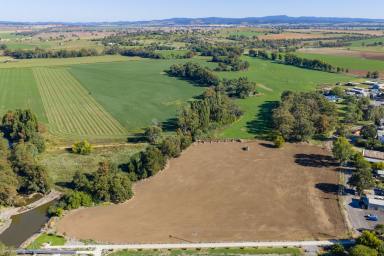 Other (Rural) For Sale - NSW - Canowindra - 2804 - 5.33 acres of self watering lucerne country, located in the heart of Canowindra!  (Image 2)
