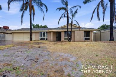 House For Sale - WA - Morley - 6062 - THE OPPORTUNITY SAVVY BUYERS HAVE BEEN WAITING FOR  (Image 2)