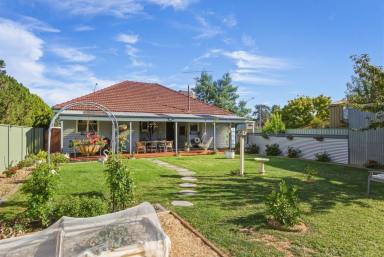 House For Sale - VIC - White Hills - 3550 - Charming Weatherboard Home Ready to Move In  (Image 2)
