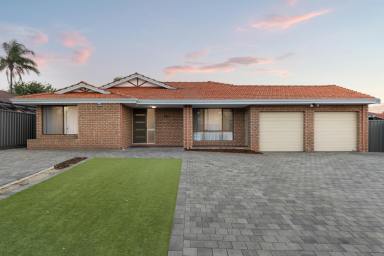 House For Sale - WA - Alexander Heights - 6064 - Fully Renovated 5 Bedroom Family Home on 682sqm – Move Straight In!  (Image 2)