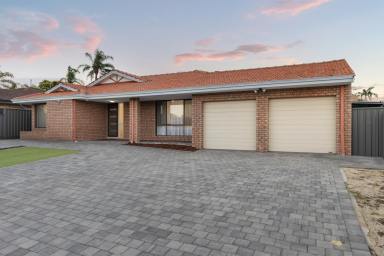 House For Sale - WA - Alexander Heights - 6064 - Fully Renovated 5 Bedroom Family Home on 682sqm – Move Straight In!  (Image 2)