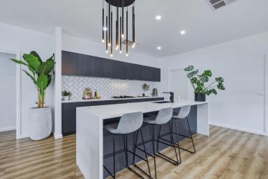 House For Sale - VIC - Maiden Gully - 3551 - Modern Family Living with Space & Style (Image 2)