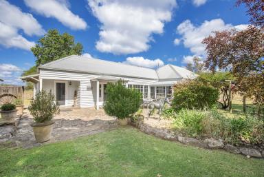 Mixed Farming For Sale - NSW - Walcha - 2354 - A LANDMARK GRAZING OPPORTUNITY IN A BLUE RIBBON LOCATION  (Image 2)