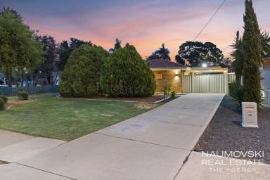 House For Sale - WA - Girrawheen - 6064 - ENTERTAINERS DREAM WITH BONUS DEVELOPMENT POTENTIAL! (Image 2)