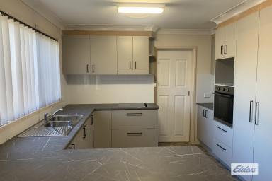 House For Lease - NSW - Taree - 2430 - Quiet Location - luxury 3 bedroom home  (Image 2)