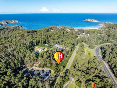Residential Block For Sale - NSW - Rosedale - 2536 - ROSEDALE RETREAT (Image 2)