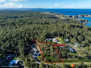 Residential Block For Sale - NSW - Rosedale - 2536 - ROSEDALE RETREAT (Image 2)