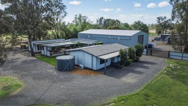 House Auction - VIC - Bridgewater On Loddon - 3516 - Unique lifestyle and commercial opportunity in Bridgewater  (Image 2)
