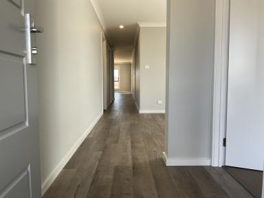 House For Lease - NSW - Tamworth - 2340 - FOUR BEDROOM HOME IN NORTH TAMWORTH  (Image 2)