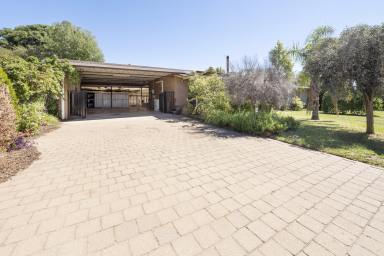 House For Sale - VIC - Nyah West - 3595 - Charming Family Living with Space, Comfort and Potential (Image 2)