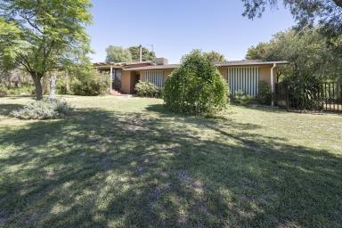 House For Sale - VIC - Nyah West - 3595 - Charming Family Living with Space, Comfort and Potential (Image 2)