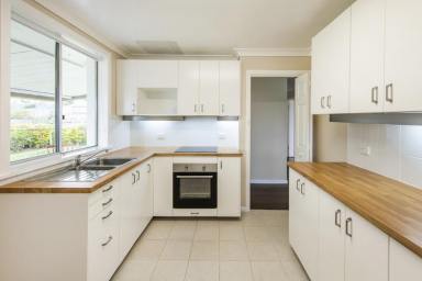 House For Lease - NSW - South Grafton - 2460 - MODERN RENOVATED FAMILY HOME IN SOUTH GRAFTON (Image 2)