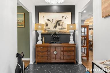 Acreage/Semi-rural For Sale - NSW - Limeburners Creek - 2324 - Beautiful Rural Lifestyle Property Perfectly Suited to Equestrian Living  (Image 2)