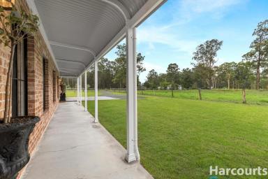 Acreage/Semi-rural For Sale - NSW - Limeburners Creek - 2324 - Beautiful Rural Lifestyle Property Perfectly Suited to Equestrian Living  (Image 2)