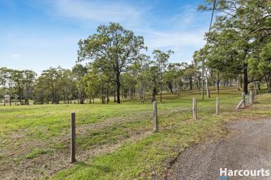Residential Block For Sale - NSW - Clarence Town - 2321 - A Natural Haven to Build Your Home Among Trees, Wildlife & Tranquillity (Image 2)