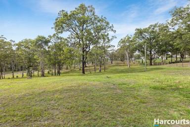 Residential Block For Sale - NSW - Clarence Town - 2321 - A Natural Haven to Build Your Home Among Trees, Wildlife & Tranquillity (Image 2)