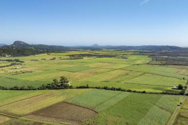 Residential Block For Sale - QLD - Maroochy River - 4561 - 80 Acres held for over 60 years!  (Image 2)