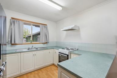 House For Sale - TAS - Brighton - 7030 - Solid Brick Home on a Large Level Allotment with Future Potential  (Image 2)