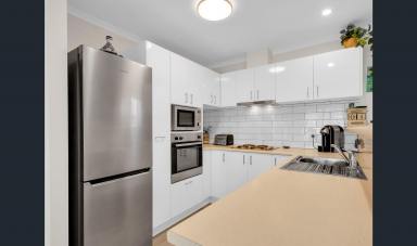 House For Lease - VIC - Rutherglen - 3685 - Low-maintenance Living with Modern Finishes  (Image 2)