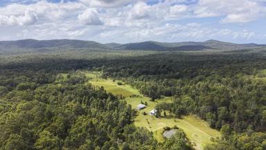 Lifestyle For Sale - NSW - Pillar Valley - 2462 - 200 ACRES ON THE COAST RANGE - ONLY SECOND TIME TO MARKET EVER! (Image 2)