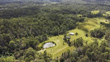 Lifestyle For Sale - NSW - Pillar Valley - 2462 - 200 ACRES ON THE COAST RANGE - ONLY SECOND TIME TO MARKET EVER! (Image 2)