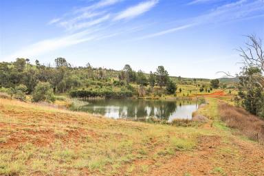 Other (Rural) For Sale - NSW - Batlow - 2730 - Rural Holding  (Image 2)
