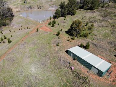 Other (Rural) For Sale - NSW - Batlow - 2730 - Rural Holding  (Image 2)