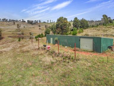 Other (Rural) For Sale - NSW - Batlow - 2730 - Rural Holding  (Image 2)