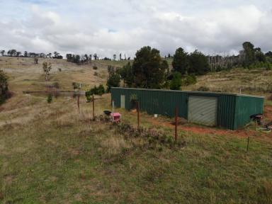 Other (Rural) For Sale - NSW - Adelong - 2729 - Rural Holding  (Image 2)