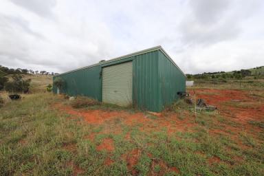 Other (Rural) For Sale - NSW - Adelong - 2729 - Rural Holding  (Image 2)