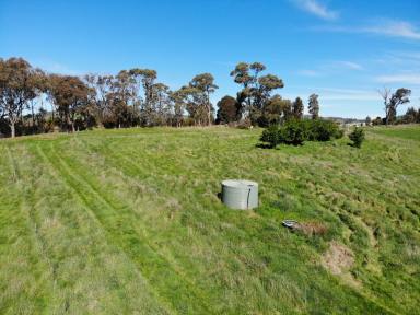 Other (Rural) For Sale - NSW - Batlow - 2730 - Rural Holding  (Image 2)