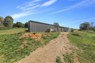 Other (Rural) For Sale - NSW - Batlow - 2730 - Rural Holding!  (Image 2)