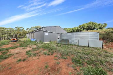 Other (Rural) For Sale - NSW - Batlow - 2730 - Rural Holding!  (Image 2)